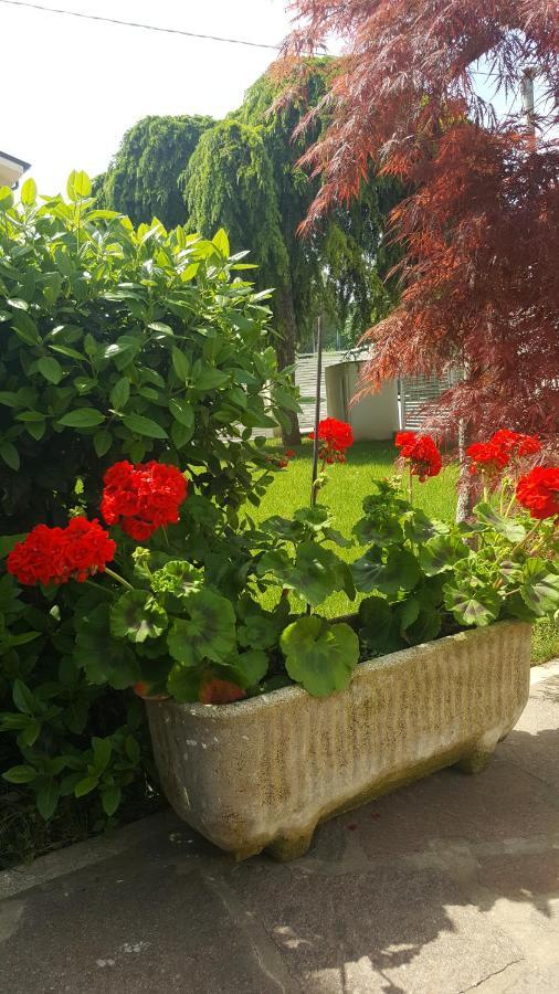 B&B "Al Colle 11" Fano Kültér fotó